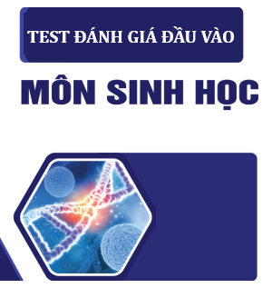 Bộ đề thi thử đầu vào lớp 10 - Ảnh 3